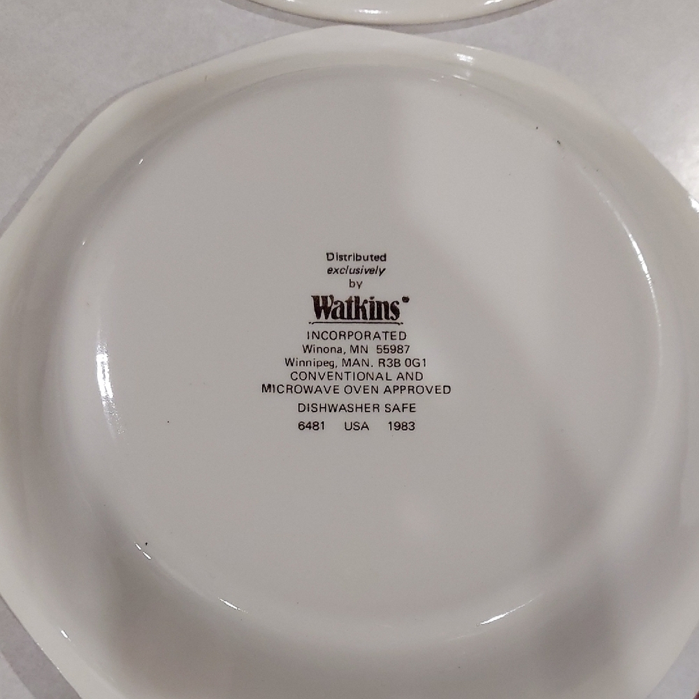 Watkins Pumpkin Chiffon Pie Plate - Picture 2 of 2